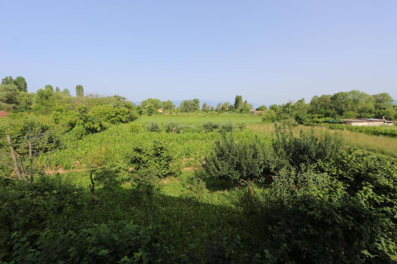 Villa Goriza Prestige Ohrid Luaran gambar
