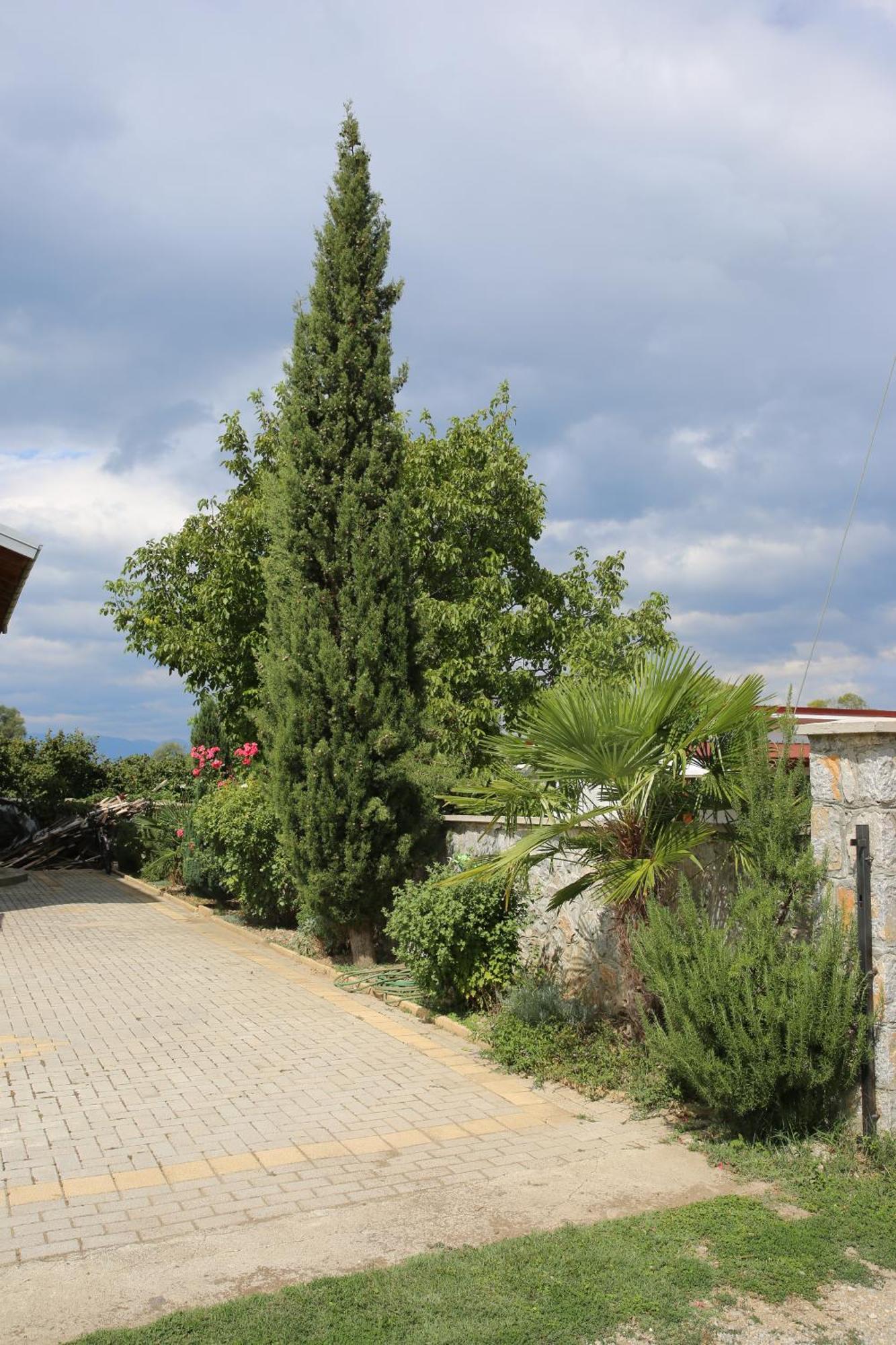 Villa Goriza Prestige Ohrid Luaran gambar