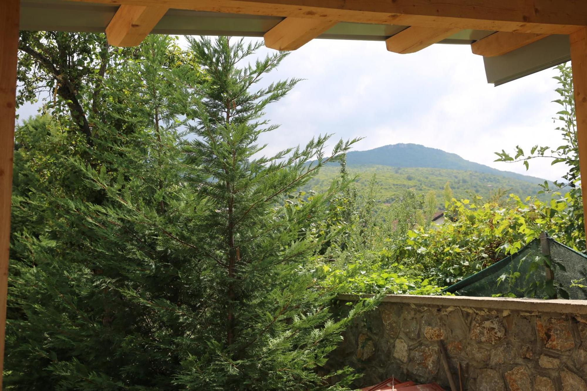 Villa Goriza Prestige Ohrid Luaran gambar